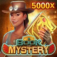 Mystery Book